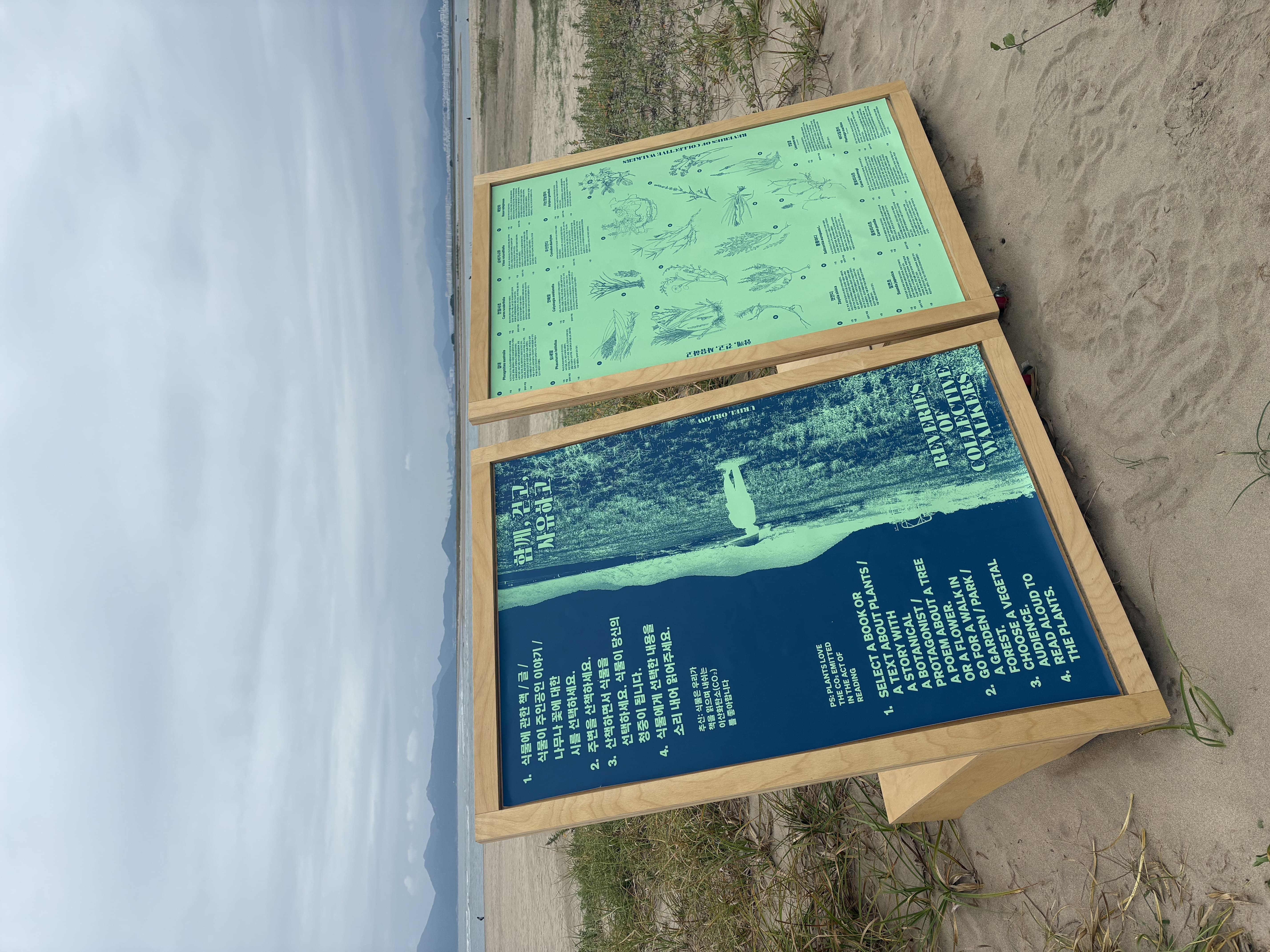 물 위를 걷는 물결들, 2025 바다미술제