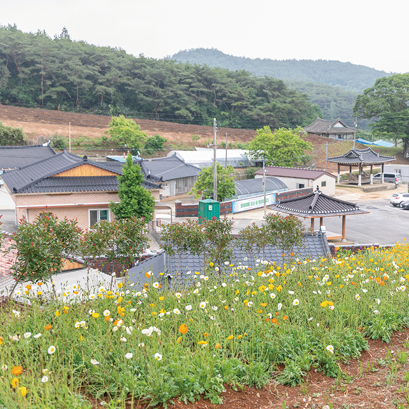 전남광주 함평군